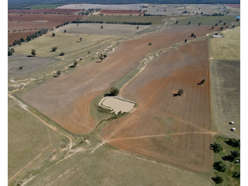 893 ” Wheogo” Deaths Lane, Grenfell NSW 2810