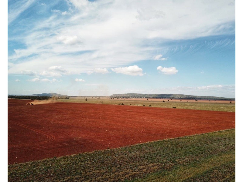 Moonbah 460 Moonbah Lane, Condobolin NSW 2877