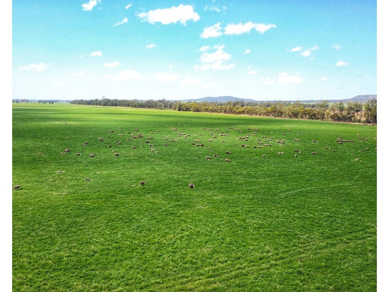 Moonbah 460 Moonbah Lane, Condobolin NSW 2877