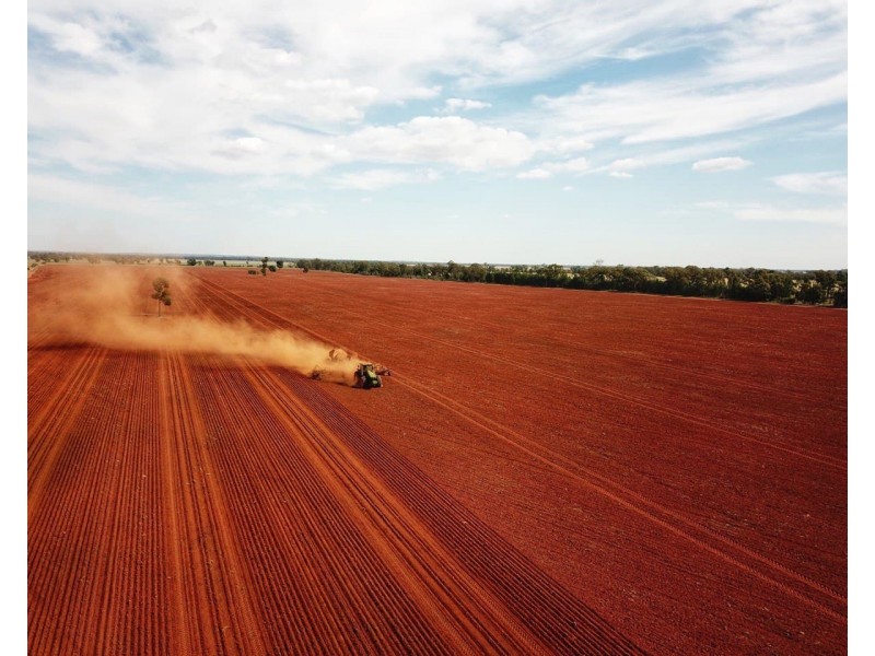 Moonbah 460 Moonbah Lane, Condobolin NSW 2877