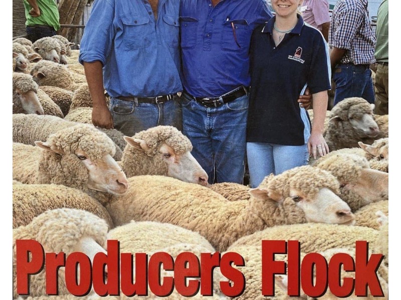 Moonbah 460 Moonbah Lane, Condobolin NSW 2877