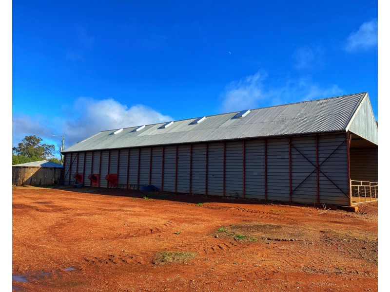 Moonbah 460 Moonbah Lane, Condobolin NSW 2877