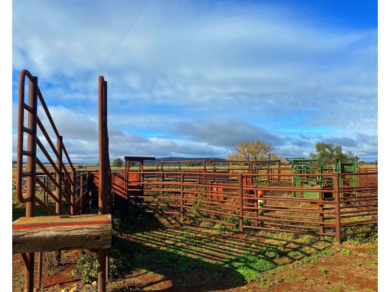 Moonbah 460 Moonbah Lane, Condobolin NSW 2877