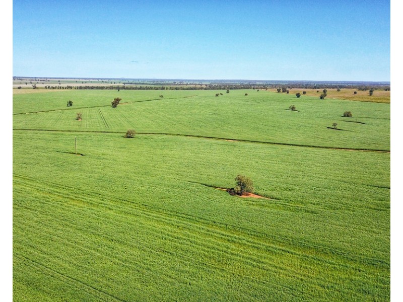 Moonbah 460 Moonbah Lane, Condobolin NSW 2877