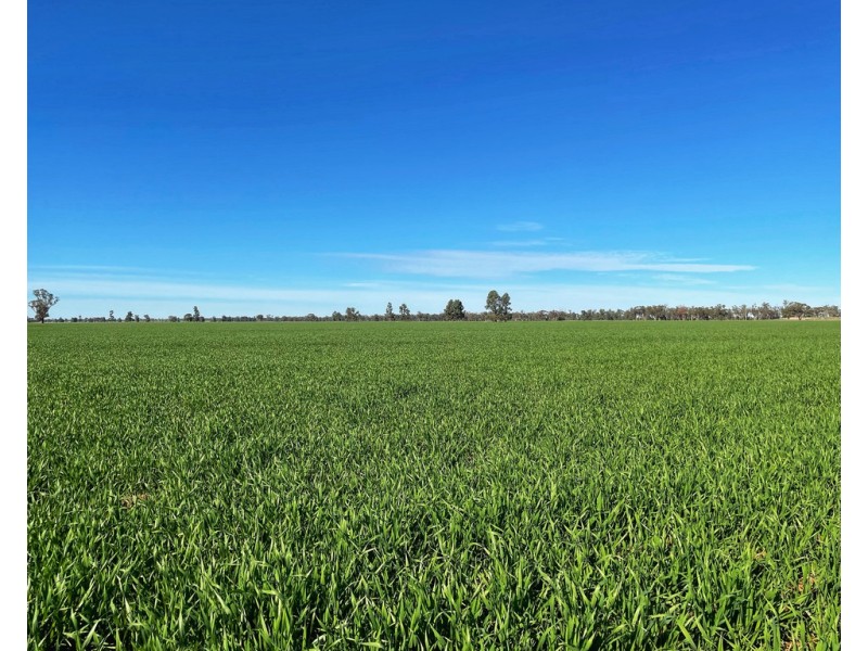 Tullinga 3276 Palesthan Road, Condobolin NSW 2877