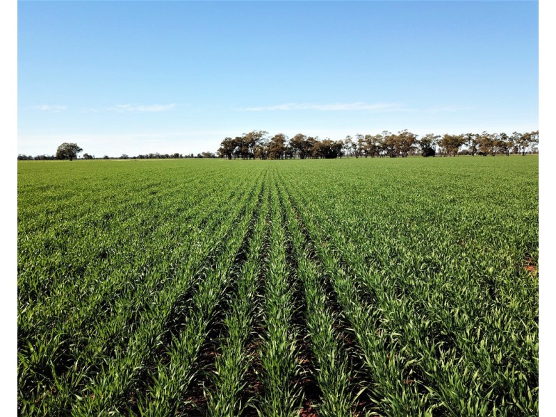 Tullinga 3276 Palesthan Road, Condobolin NSW 2877