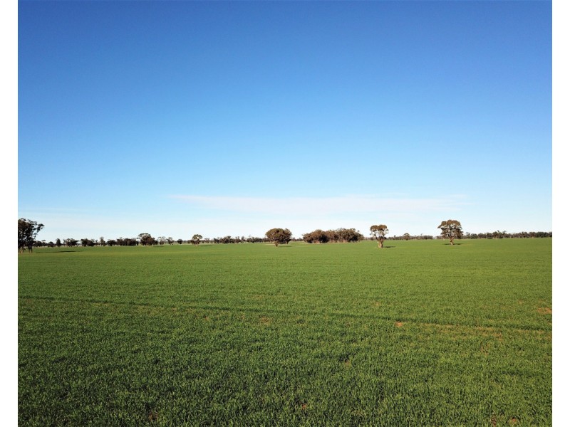 Tullinga 3276 Palesthan Road, Condobolin NSW 2877