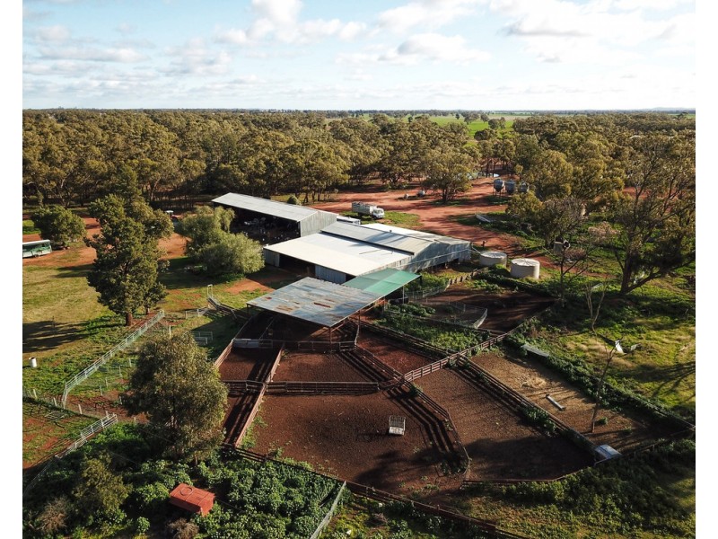 Tullinga 3276 Palesthan Road, Condobolin NSW 2877