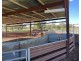 Tullinga 3276 Palesthan Road, Condobolin NSW 2877