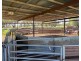 Tullinga 3276 Palesthan Road, Condobolin NSW 2877