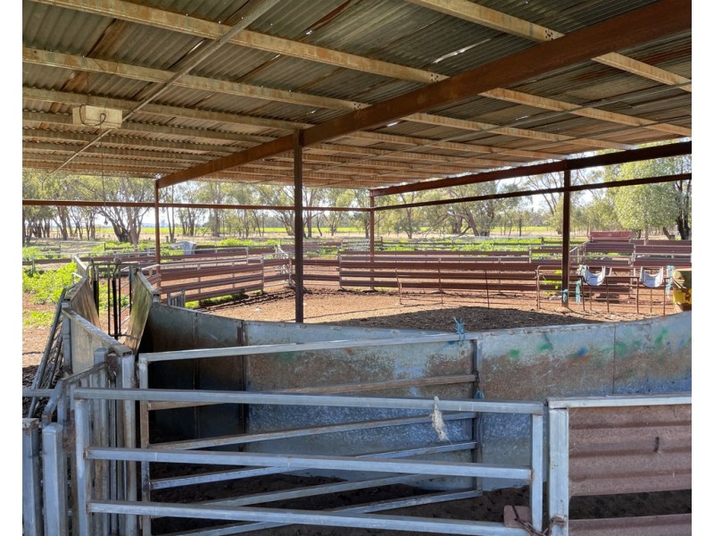 Tullinga 3276 Palesthan Road, Condobolin NSW 2877
