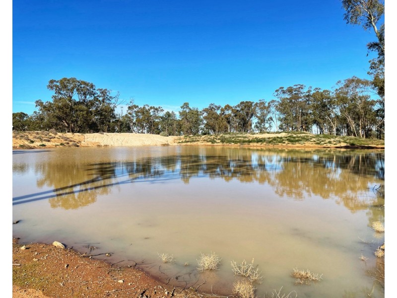 Tullinga 3276 Palesthan Road, Condobolin NSW 2877