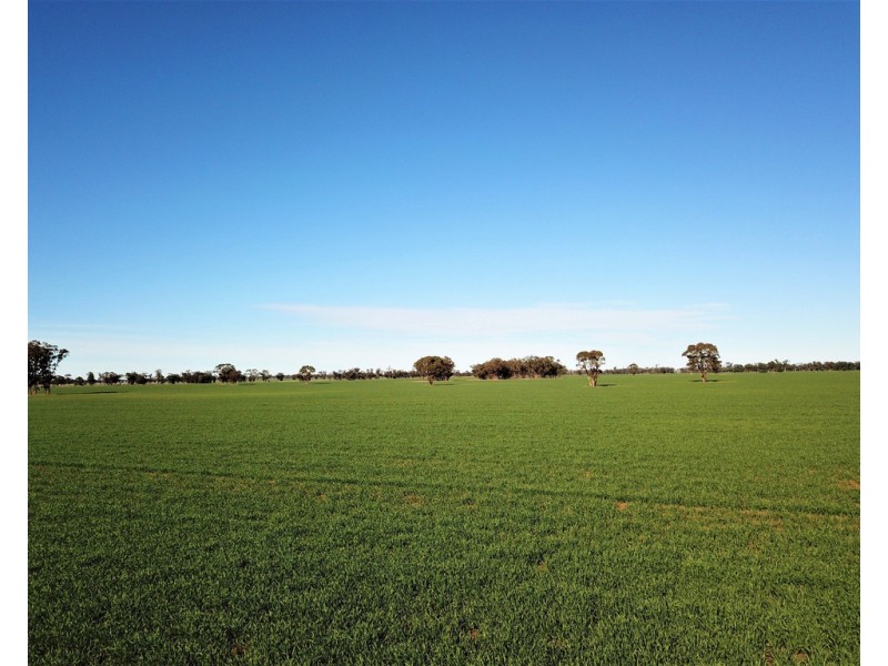 Tullinga 3276 Palesthan Road, Condobolin NSW 2877