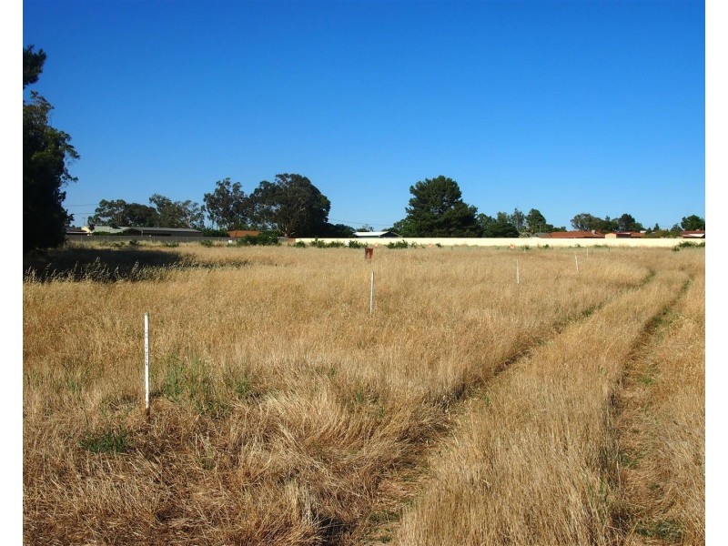 Lot 4 21A Coronation Ave, Parkes NSW 2870