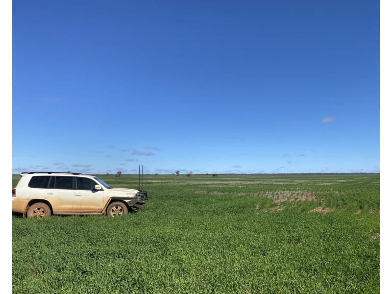 Glenroy 4938 Peisley Road, Nyngan NSW 2825