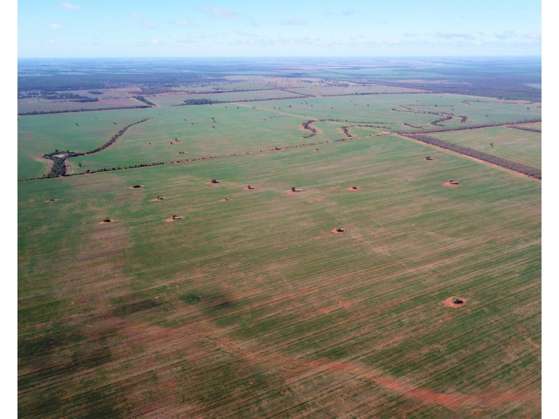 Glenroy 4938 Peisley Road, Nyngan NSW 2825