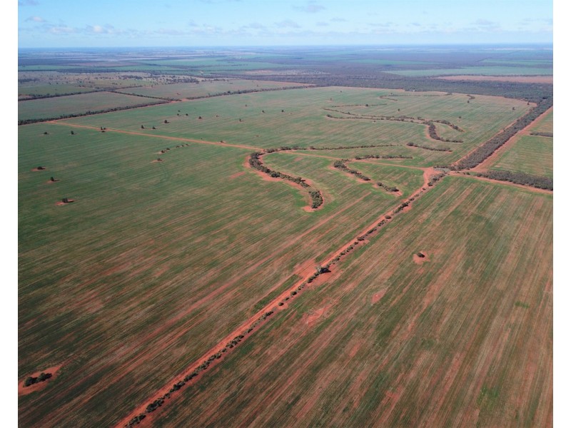 Glenroy 4938 Peisley Road, Nyngan NSW 2825