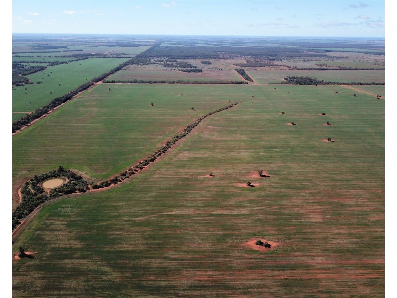 Glenroy 4938 Peisley Road, Nyngan NSW 2825