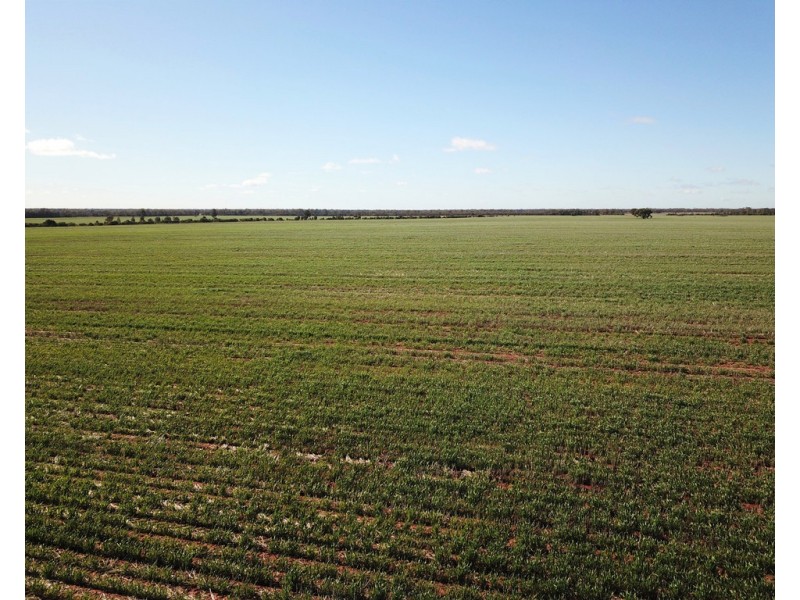 Glenroy 4938 Peisley Road, Nyngan NSW 2825