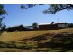 237 Nash Street, Parkes NSW 2870