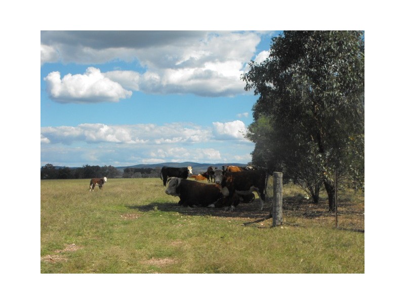 301 Lake Metcalfe Road, Parkes NSW 2870