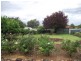 5 Howard St, Parkes NSW 2870