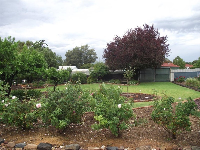 5 Howard St, Parkes NSW 2870