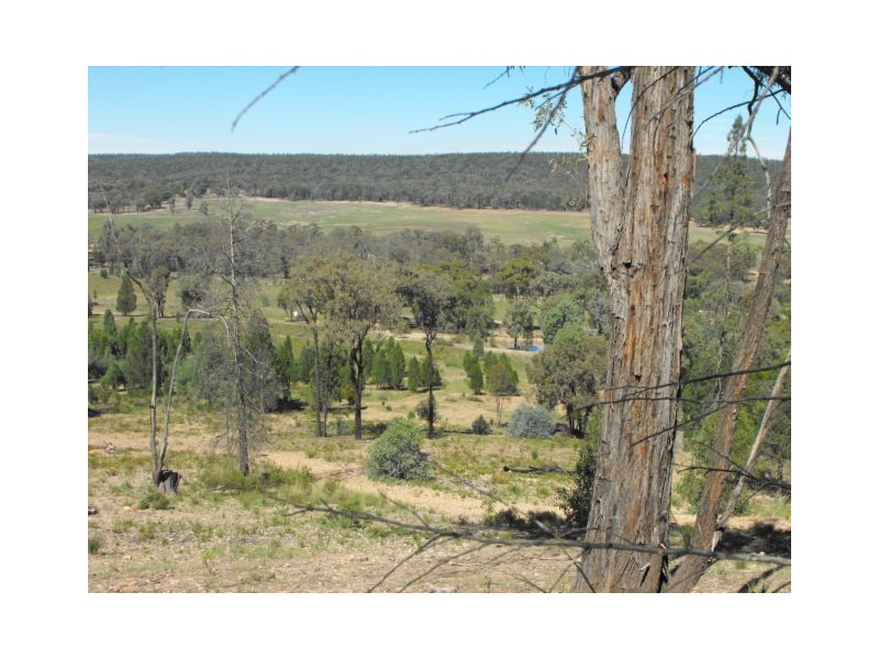 109 Staircase Road, Mandagery NSW 2870