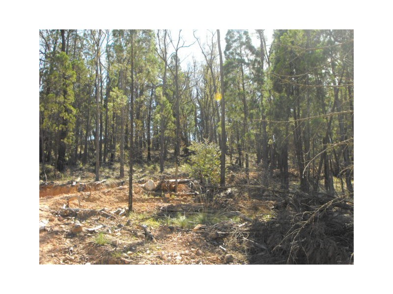 109 Staircase Road, Mandagery NSW 2870