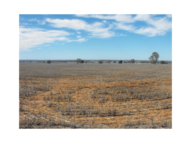 Part Keilor Gunningbland Road, Gunningbland NSW 2876