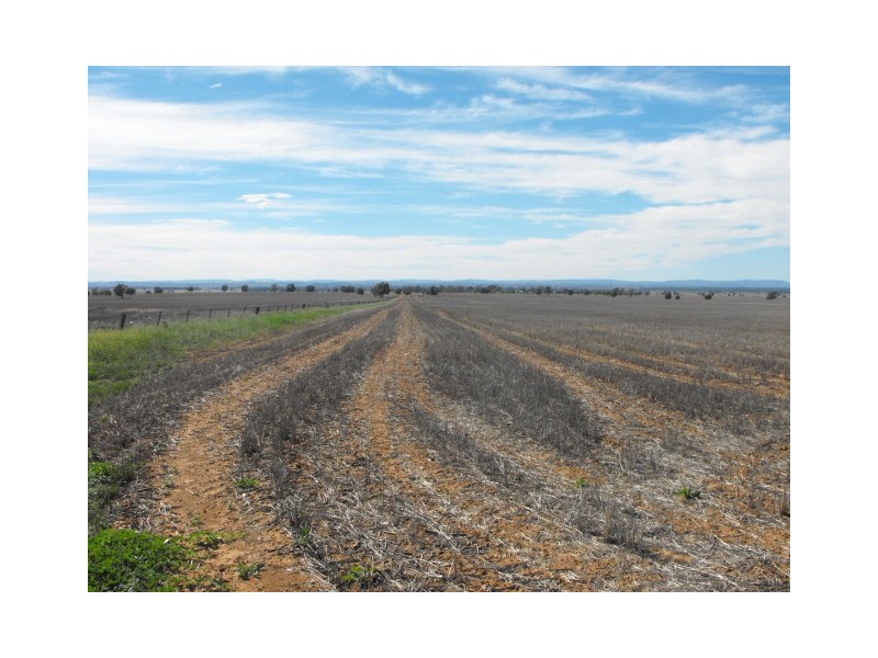 Part Keilor Gunningbland Road, Gunningbland NSW 2876