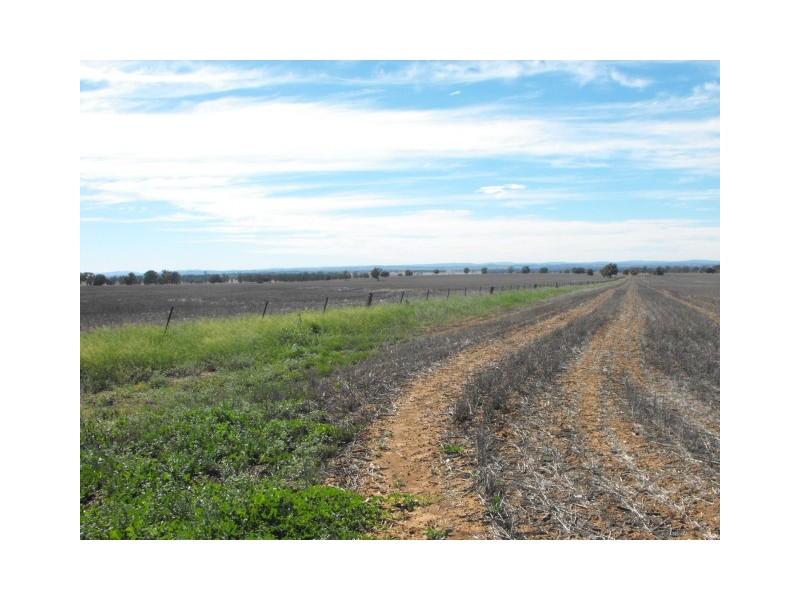 Part Keilor Gunningbland Road, Gunningbland NSW 2876