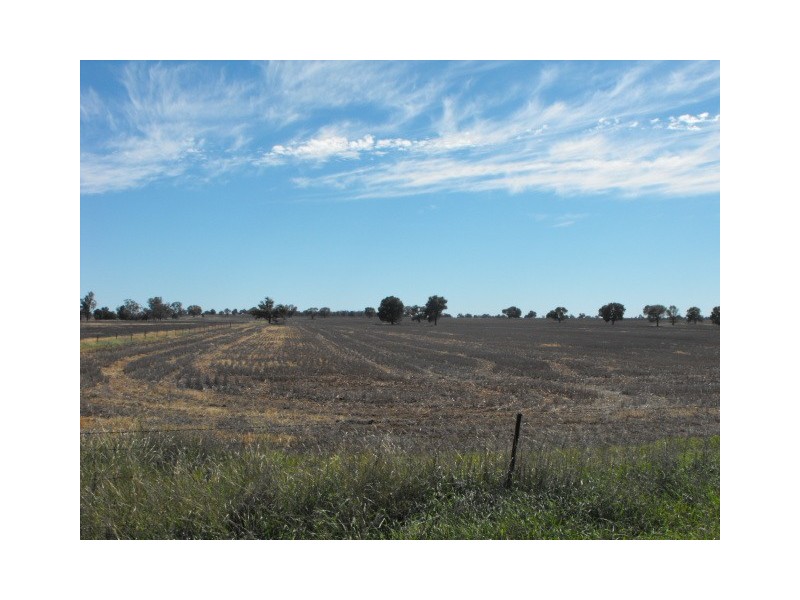 Part Keilor Gunningbland Road, Gunningbland NSW 2876