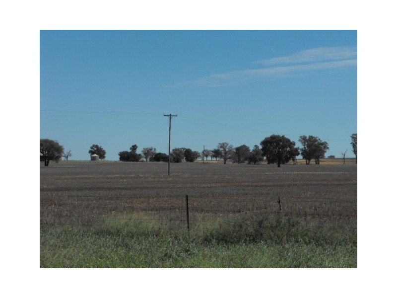 Part Keilor Gunningbland Road, Gunningbland NSW 2876