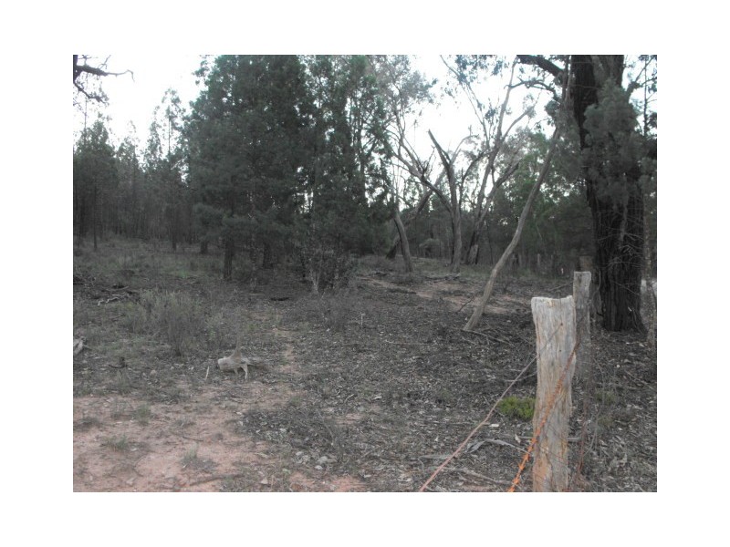 1 Cookahills Road, Parkes NSW 2870