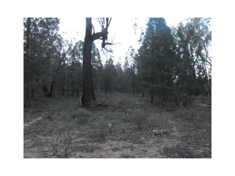 1 Cookahills Road, Parkes NSW 2870