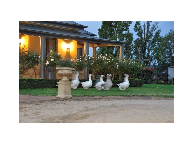 442 The Escort Way, Orange NSW 2800