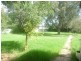 88 Euchie Street, Peak Hill NSW 2869