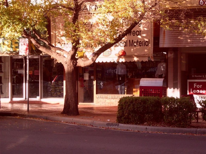 257 Clarinda Street, Parkes NSW 2870