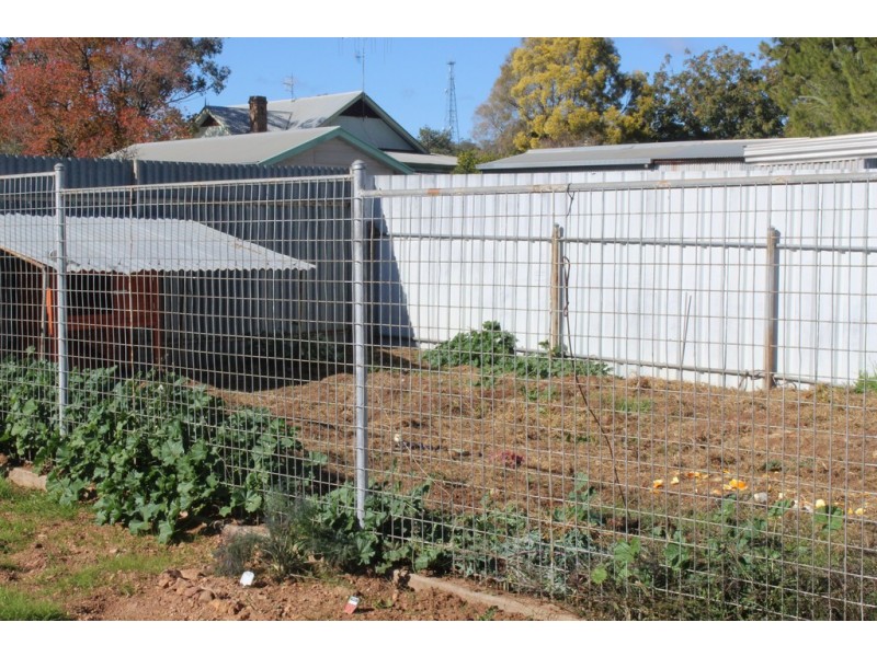 103 Boori Street, Peak Hill NSW 2869