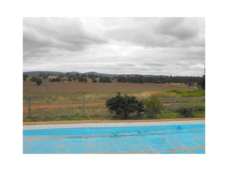 0 Newel Highway, Peak Hill NSW 2869