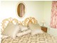 0 Newel Highway, Peak Hill NSW 2869
