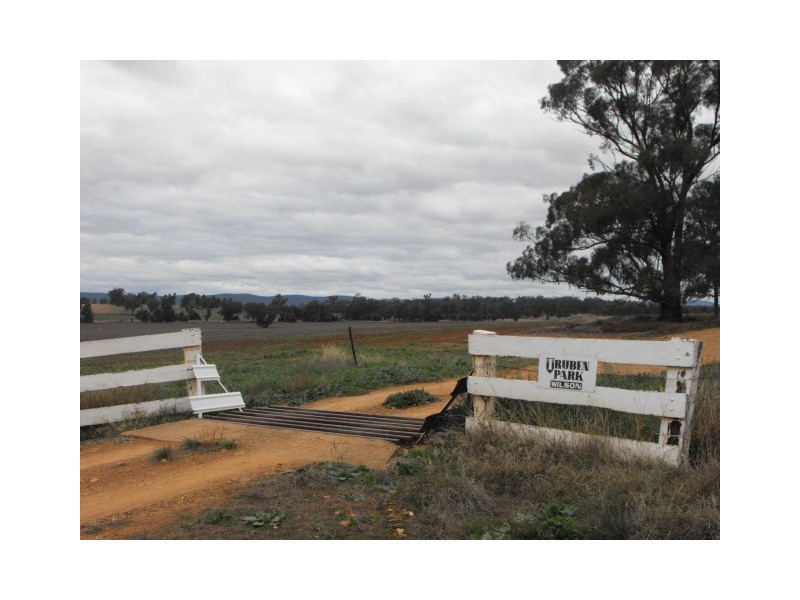 0 Newel Highway, Peak Hill NSW 2869