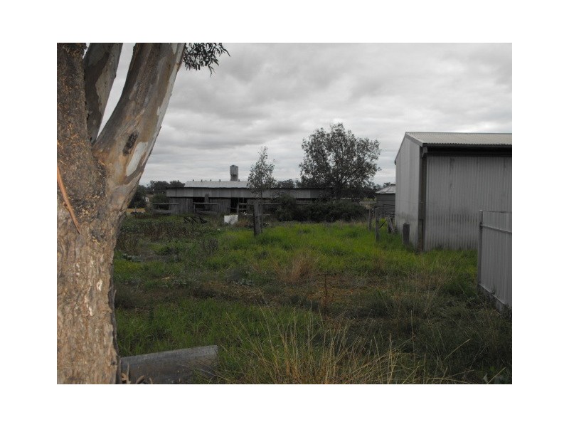 110 Warrah Street, Peak Hill NSW 2869