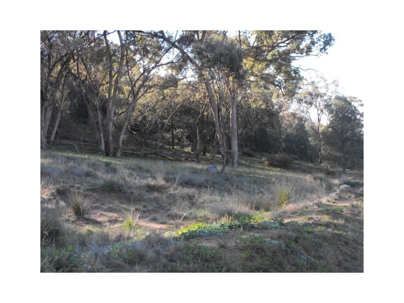 2169 Amaroo Way, Cookamidgera NSW 2870