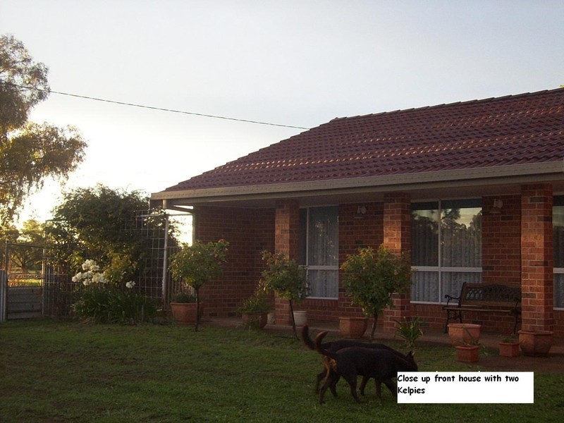 62 Tullamore Rd, Peak Hill NSW 2869
