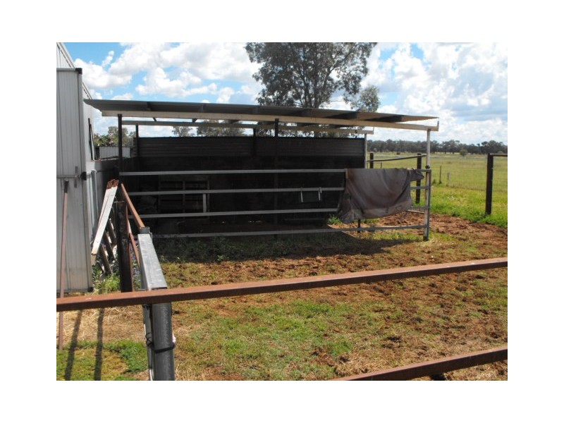 62 Tullamore Rd, Peak Hill NSW 2869