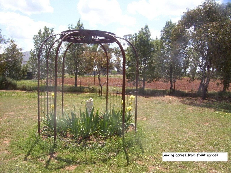 62 Tullamore Rd, Peak Hill NSW 2869