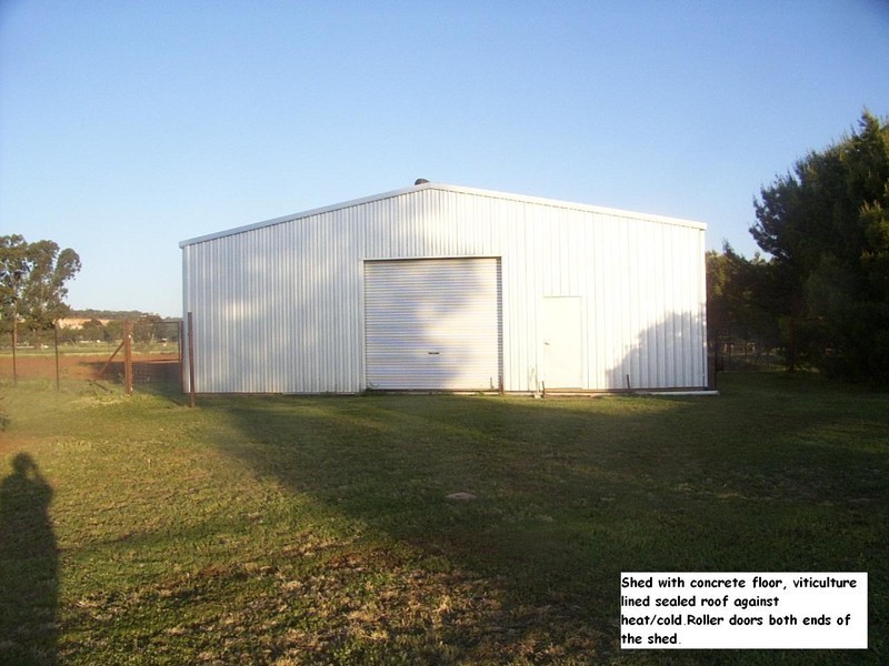 62 Tullamore Rd, Peak Hill NSW 2869