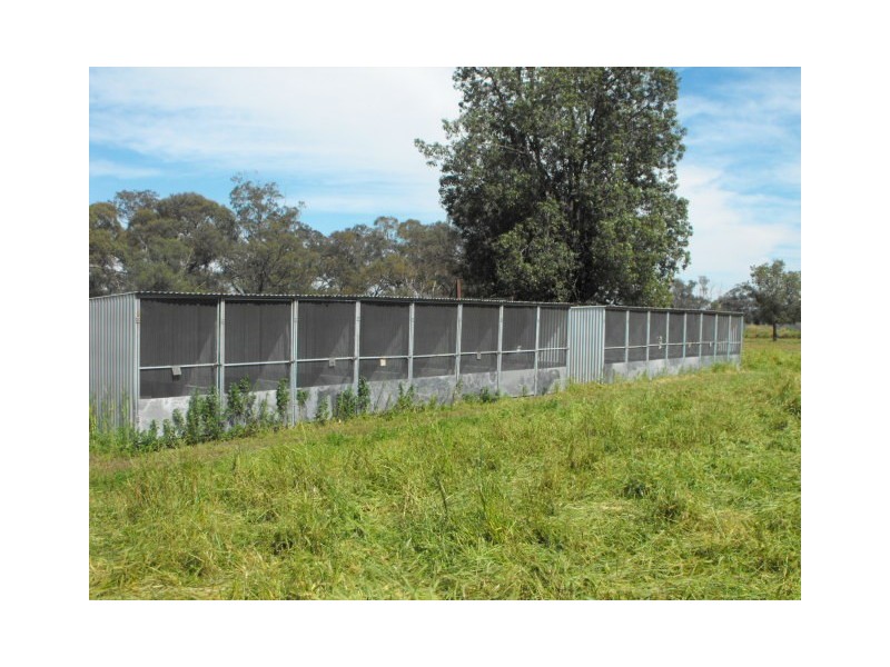 Lot 1 Flagstone, Cookamidgera NSW 2870